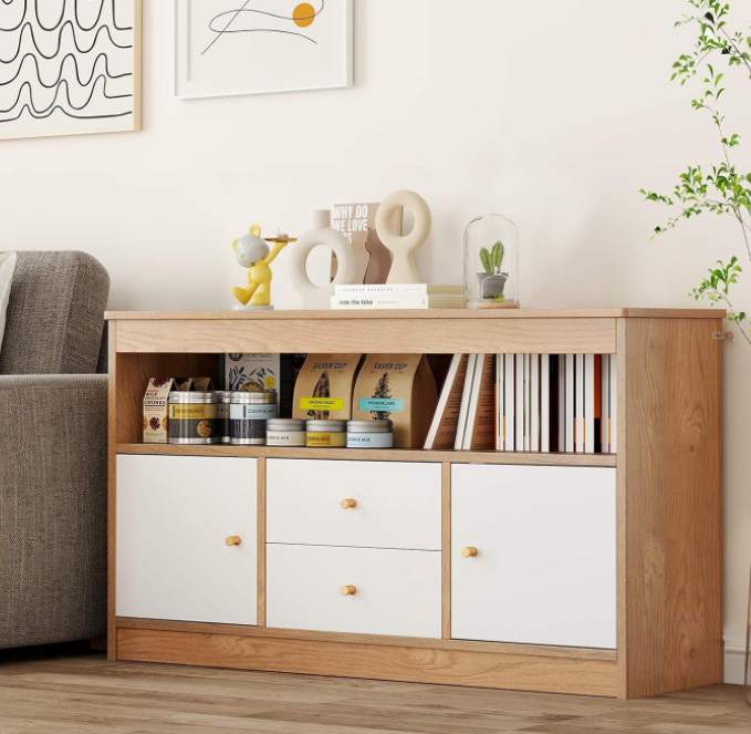 Kids Toy Storage Organizer with 2 Drawers and 2 Closed Cabinets