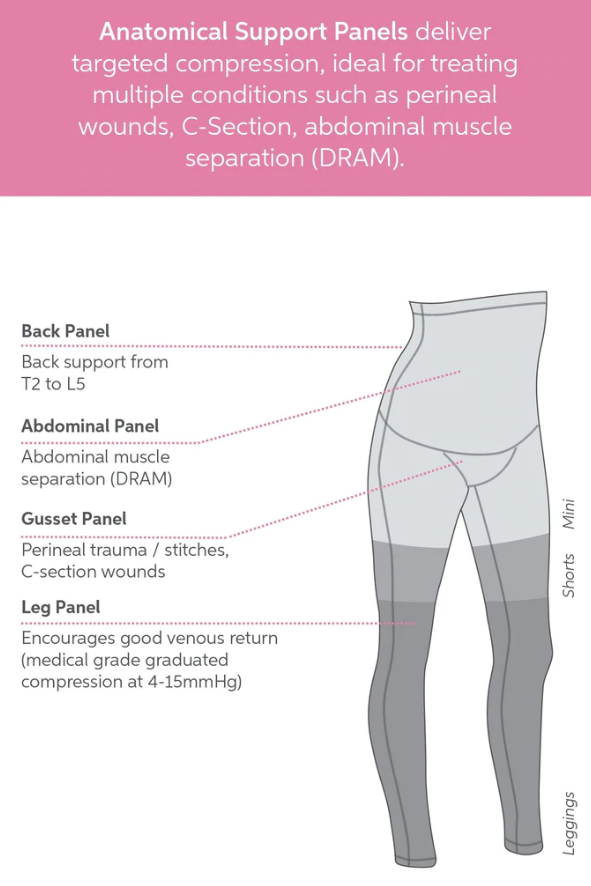 SRC Recovery Shorts