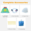 Hose, repair patches, stakes and carrying bag without blower