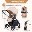 Reversible folding stroller, Beige, dimensions and age
