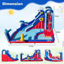 Dolphin water slide dimensions: 413 × 300 × 235 cm