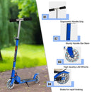 Blue scooter grips, stem, LED wheels and rear foot brake