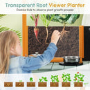 TP10200 Multicolour: transparent root-viewer planting detail