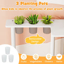 Three removable planting pots fitted above the toy hob