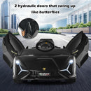 Black electric sports car with opening doors