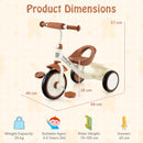 Supplier dimensions and rider fit guide for the beige tricycle