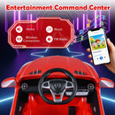 Dashboard with horn, music, wireless audio and FM radio