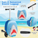 Blue Shark folding scooter suitcase: handle, zip and deck details