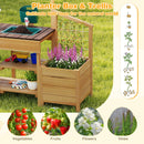 Wooden Mud Kitchen with Planter Boxes and Trellis – Brown view 8
