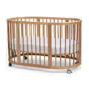 Cocoon Lolli Furniture Sprout 4 in 1 Cot