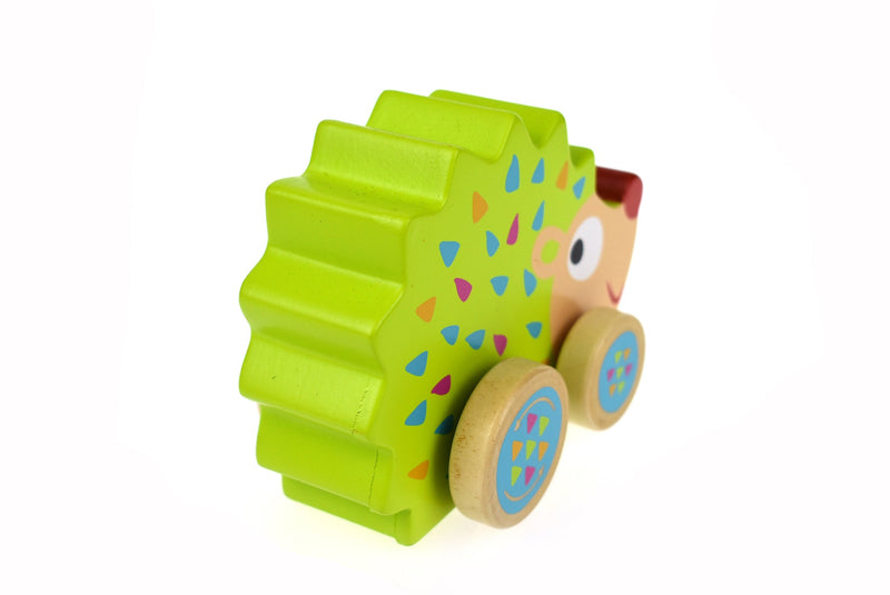 ECHIDNA WIND N WALK MUSIC BOX