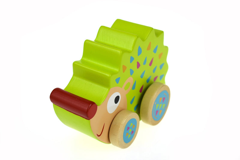 ECHIDNA WIND N WALK MUSIC BOX
